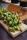 These appetizers get the green light